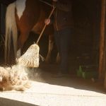 Fly control around your barn