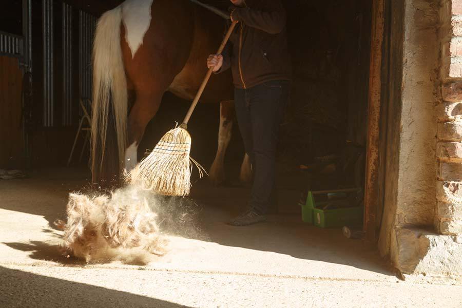 Fly control around your barn